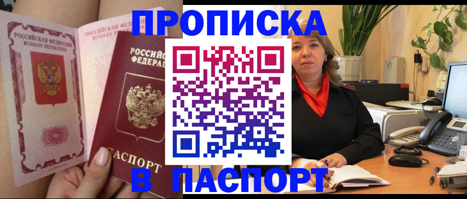 прописка поиск в Бабаево